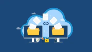 Unlimited File Transfers